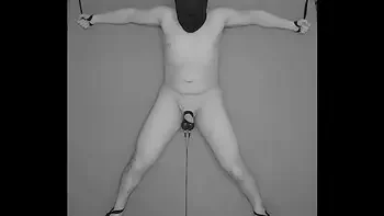 1 HOUR Testicles Electrostimulation Procedure