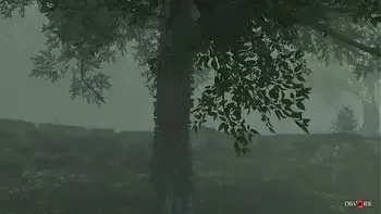 Misterious forest animation. Free version