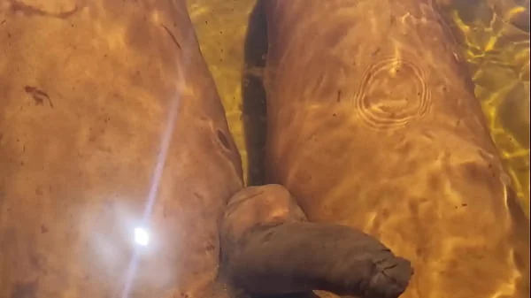 Novinha Branquinha Gostosa Conhecendo a Praia de Nudismo Primeira Vez | Bruninha Fonseca & Joao O Safado