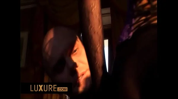 Megane does everything you want