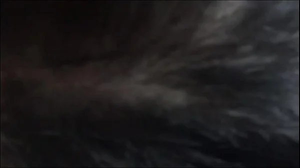 My Dom bound me to chair slapped me until he got himself off with a deposit of a thick cum straight into my mouth after using my head like a fleshlight.