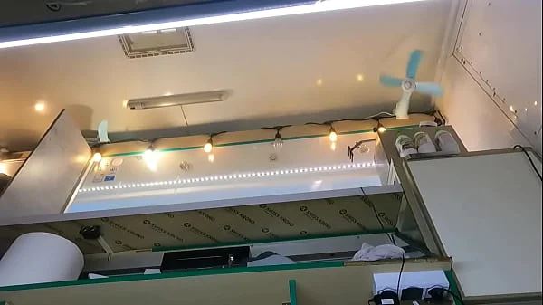 The boss is playing with his sexy shop assistant pussy while she talks to the customer
