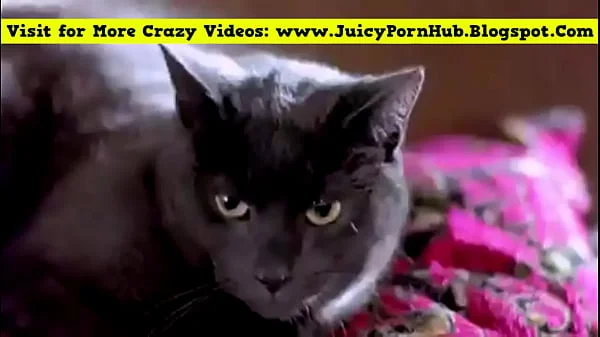 Best Horny Movie Scenes Ever.