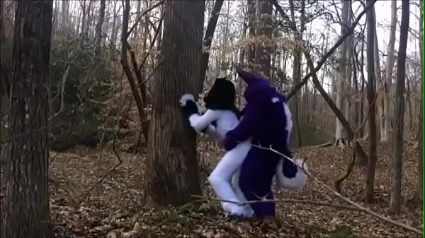 Fursuit Couple Mating in Woods
