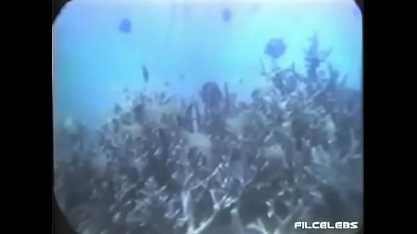 Maria Isabel Lopez - Isla