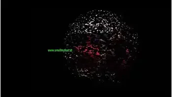 Foot Smell Fetish - Feet Slave