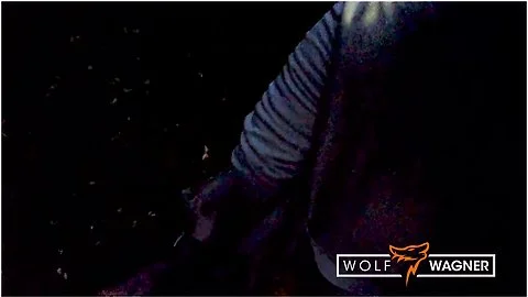 Bbw Sits On My Dick!! Public Blowjob And Table Fuck: Ashley Cumstar