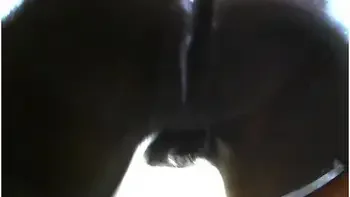 Pussy On Glass Table