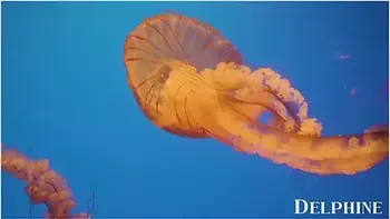 Animals- Horny Teacher Alina Ali Cheats On Her Husband With Her Student 18+