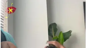 Sexy Sensual Solo Squirt