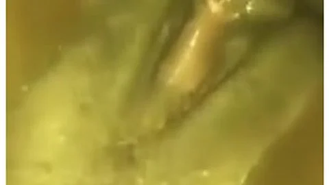 2 Lesbians 1 Little Squirter