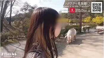 En Date I Zoologisk Have Med En Amator Barmfagre Skonheder Vildt Instinkt Bar Sex Japansk Blowjob