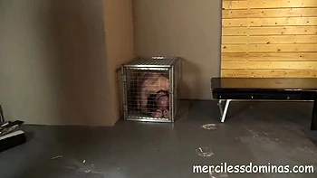 Goddess Sophia Humiliates Slave with Foot Fetish and Brutal BDSM