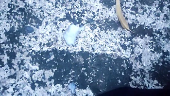 My Hot Riya Girlfriend Made Me Cum Inside Her Tight Pussy