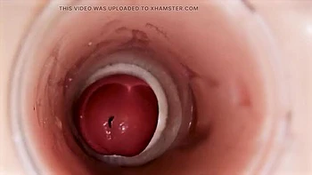 Ladytwitti Deep Pussy Creampie - Internal Camera Captures Huge Sperm Ejaculation