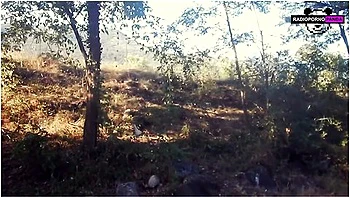 Behind The Scenes: Young Italian Youtuber With Big Tits Reviews A Dildo In The Park