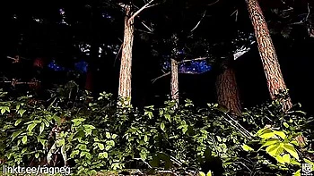 Crash Landing On Goblins