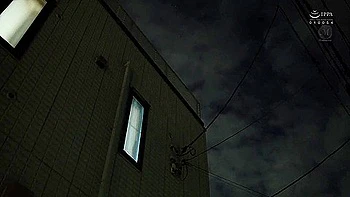 A Housewife Has A Mark On Her Front Door. When She Looks Under The Mailbox... All These Dangerous Marks Are Everywhere. Honami Hazuki