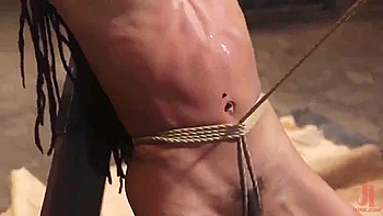 Happy Little Plaything