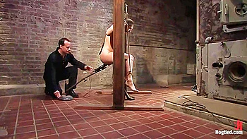 Pain Dee Is Pulled Three Ways