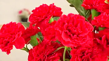 08158,Naughty porn with guys and girls