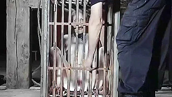 Caged Cumslut Featuring Melody ( )