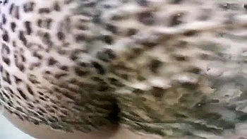 Crazy Porn Movie Hd Great Will Enslaves Your Mind