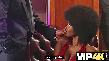 Les Vieux Coqs Sont Meilleurs Hd