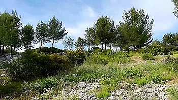 New Chaarlene Improvises In Front Of A (11-06-2025) Hardcore Reality French Iluvy