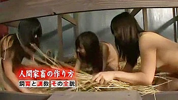 Fabulous Japanese slut Mika Osawa in Exotic Fetish, Blowjob JAV scene