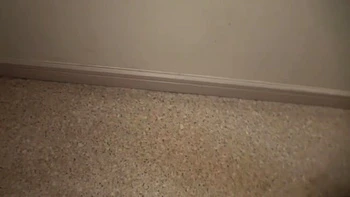 0010873_接吻 ベロキス かわいいなどが含まれている