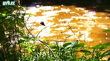 FCE102-ADZVHYFABJ235886874