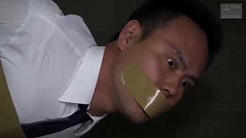 ZLM258-MTFSINQCZE948597692