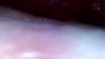 x1x884CAC2BE9FC4BC907