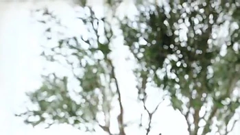 661-youth-with-areare-adn