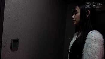 0012262_ジュポフェラ セックス ベロチュウなどが含まれている