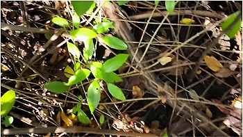 Sex Sa Tabing Kalsada Tas Pinutokan Sa Loob - Risky Public