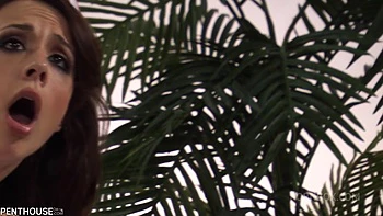 Flash Banging - Episode 5