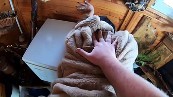 Just getting started. Would you like to see more of us? by The bad guy: Porn