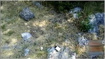 Oral Fixation Humiliation Drooling Spider Gag Facial