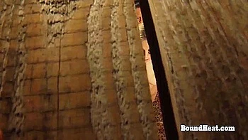 Madame With Well-proportioned Queen From