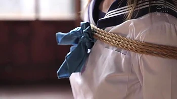 x3xB45BB8BBD40D470A55