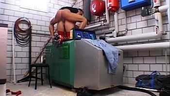 -rosenberg-fmd 0379 03