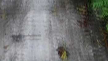 ce mec tire une belle espagnole en pleine nature