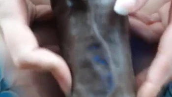 Nice Boobs: Cowgirl, Big Tits  Babe Porn