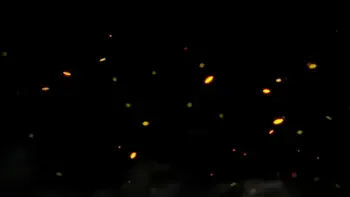 POV Spit and Toilet Pissing With Redhead Mistress Kira