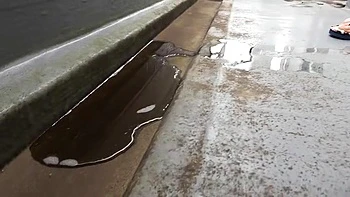 x1x2E7B053B6D9648342C