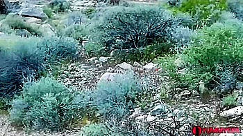 Skinny In The Desert