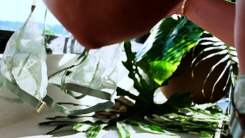 VIXEN Insatiable Lily Craves Hard Cock