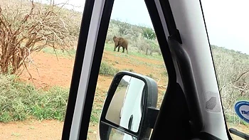 Amateur Black GF Pussy Banged Raw By BWC